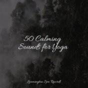 50 Calming Sounds for Yoga