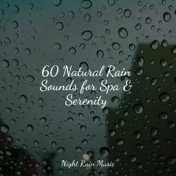 60 Natural Rain Sounds for Spa & Serenity