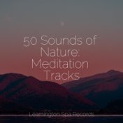 50 Sounds of Nature: Meditation Tracks