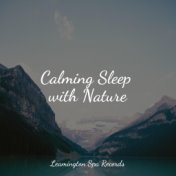 Calming Sleep with Nature