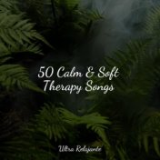 50 Calm & Soft Therapy Songs