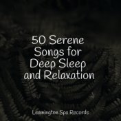 50 Serene Songs for Deep Sleep and Relaxation