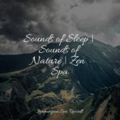 Sounds of Sleep | Sounds of Nature | Zen Spa