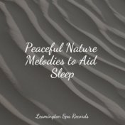 Peaceful Nature Melodies to Aid Sleep