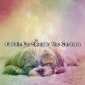 40 Rain For Sleep In The Gardens