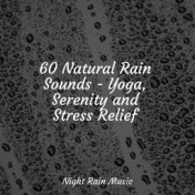 60 Natural Rain Sounds - Yoga, Serenity and Stress Relief