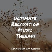 Ultimate Relaxation Music Therapy