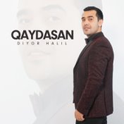 Qaydasan