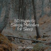 50 Hypnotic Sleepy Melodies for Sleep