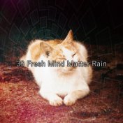 39 Fresh Mind Matter Rain