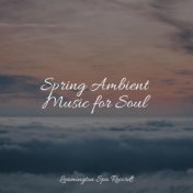 Spring Ambient Music for Soul