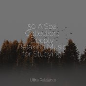 50 A Spa Collection: Deeply Relaxing Music for Studying