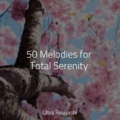 50 Melodies for Total Serenity