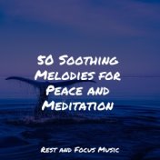 50 Soothing Melodies for Peace and Meditation