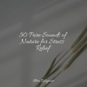 50 Pure Sounds of Nature for Stress Relief