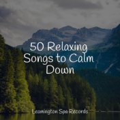 50 Relaxing Songs to Calm Down