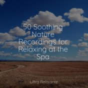 50 Soothing Nature Recordings for Relaxing at the Spa