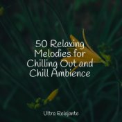 50 Relaxing Melodies for Chilling Out and Chill Ambience