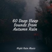 60 Deep Sleep Sounds from Autumn Rain