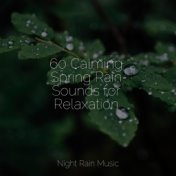 60 Calming Spring Rain Sounds for Relaxation