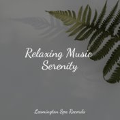 Relaxing Music Serenity