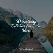 50 Soothing Lullabies for Calm Sleep