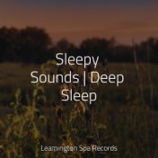 Sleepy Sounds | Deep Sleep