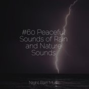 #60 Peaceful Sounds of Rain and Nature Sounds