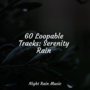 60 Loopable Tracks: Serenity Rain