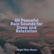 60 Peaceful Rain Sounds for Sleep and Relaxation