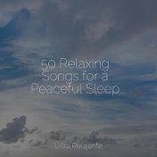 50 Relaxing Songs for a Peaceful Sleep