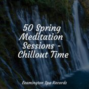 50 Spring Meditation Sessions - Chillout Time