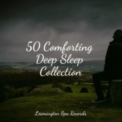 50 Comforting Deep Sleep Collection