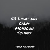 50 Light and Calm Monsoon Sounds