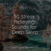 50 Stress Relieving Sounds for Deep Sleep