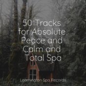 50 Tracks for Absolute Peace and Calm and Total Spa