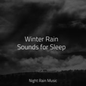 Winter Rain Sounds for Sleep