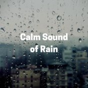 Calm Sound of Rain