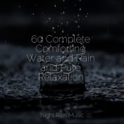 60 Complete Comforting Water and Rain and Pure Relaxation