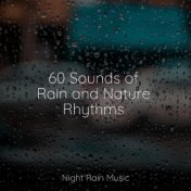 60 Sounds of Rain and Nature Rhythms