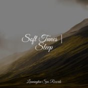 Soft Tunes | Sleep