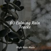 60 Calming Rain Tracks