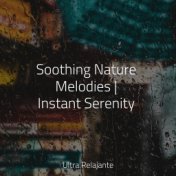 Soothing Nature Melodies | Instant Serenity