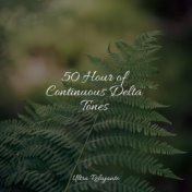 50 Hour of Continuous Delta Tones