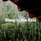 Sleep in the Rain