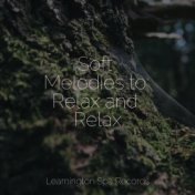 Soft Melodies to Relax and Relax