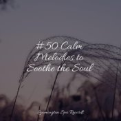 #50 Calm Melodies to Soothe the Soul