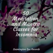 50 Meditation and Mantra Classes for Insomnia