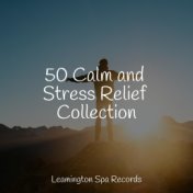 50 Calm and Stress Relief Collection