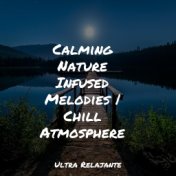 Calming Nature Infused Melodies | Chill Atmosphere